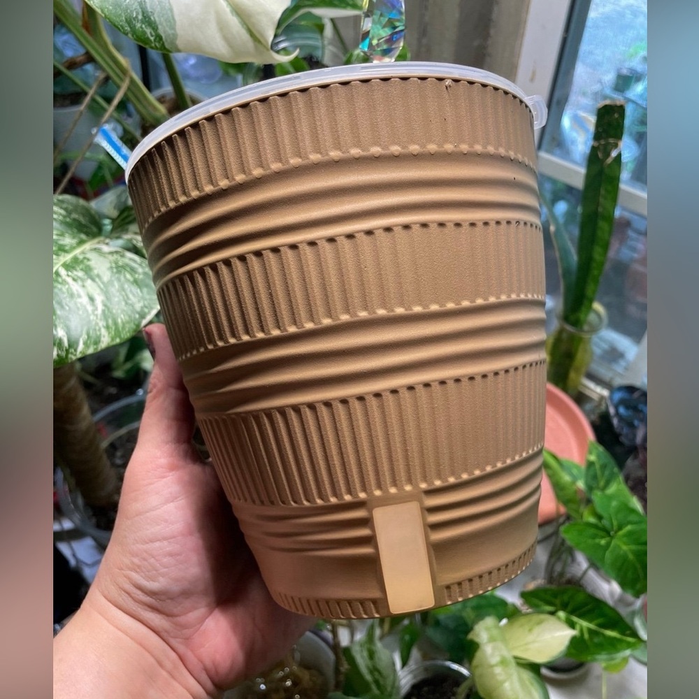 Self watering pot